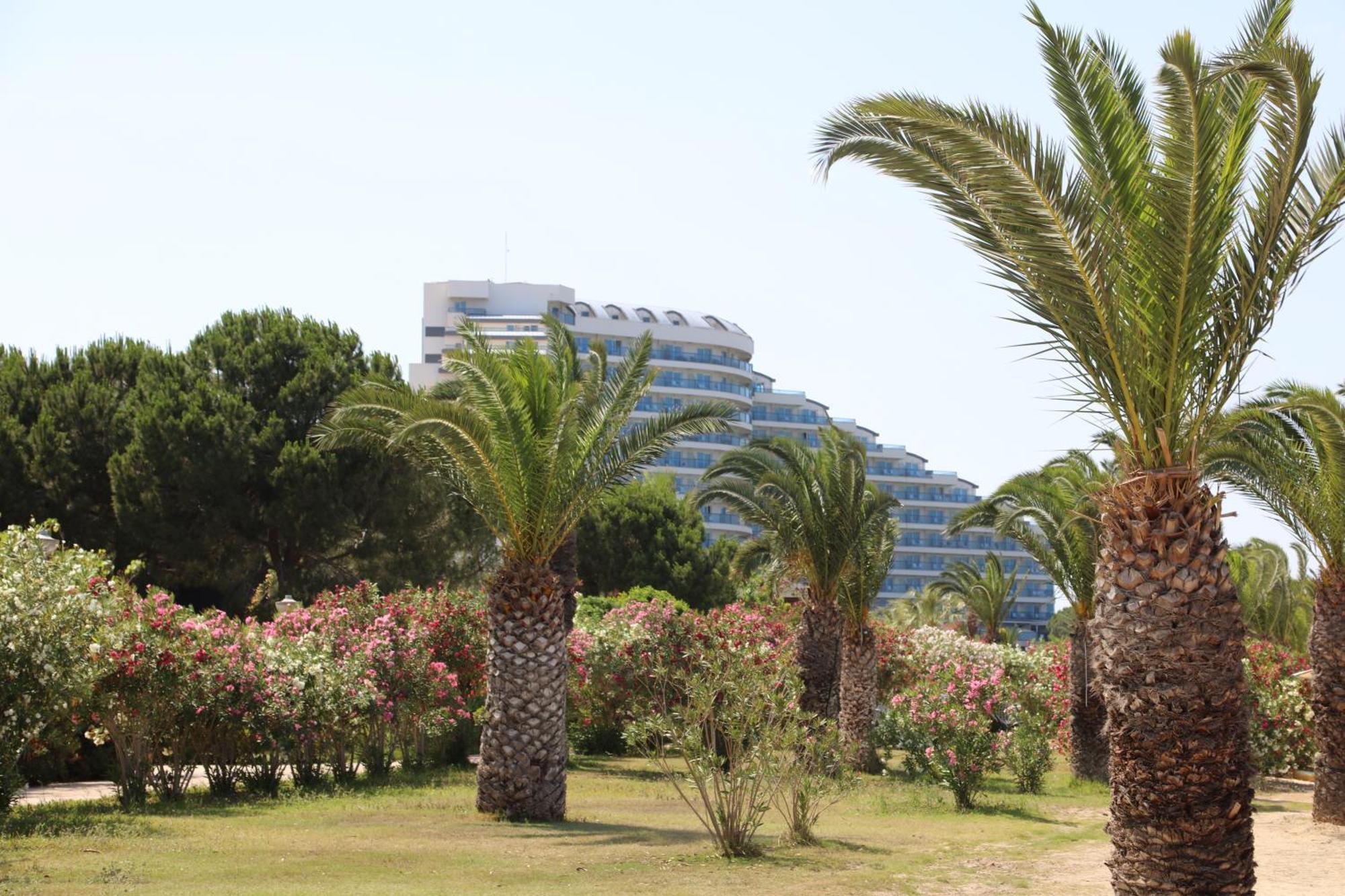 Venosa Beach Resort & Spa Дідім Екстер'єр фото